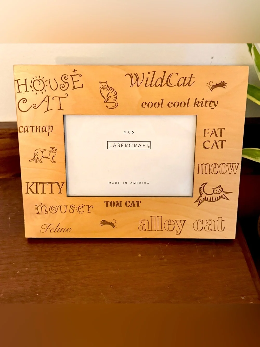 N/A vintage cat